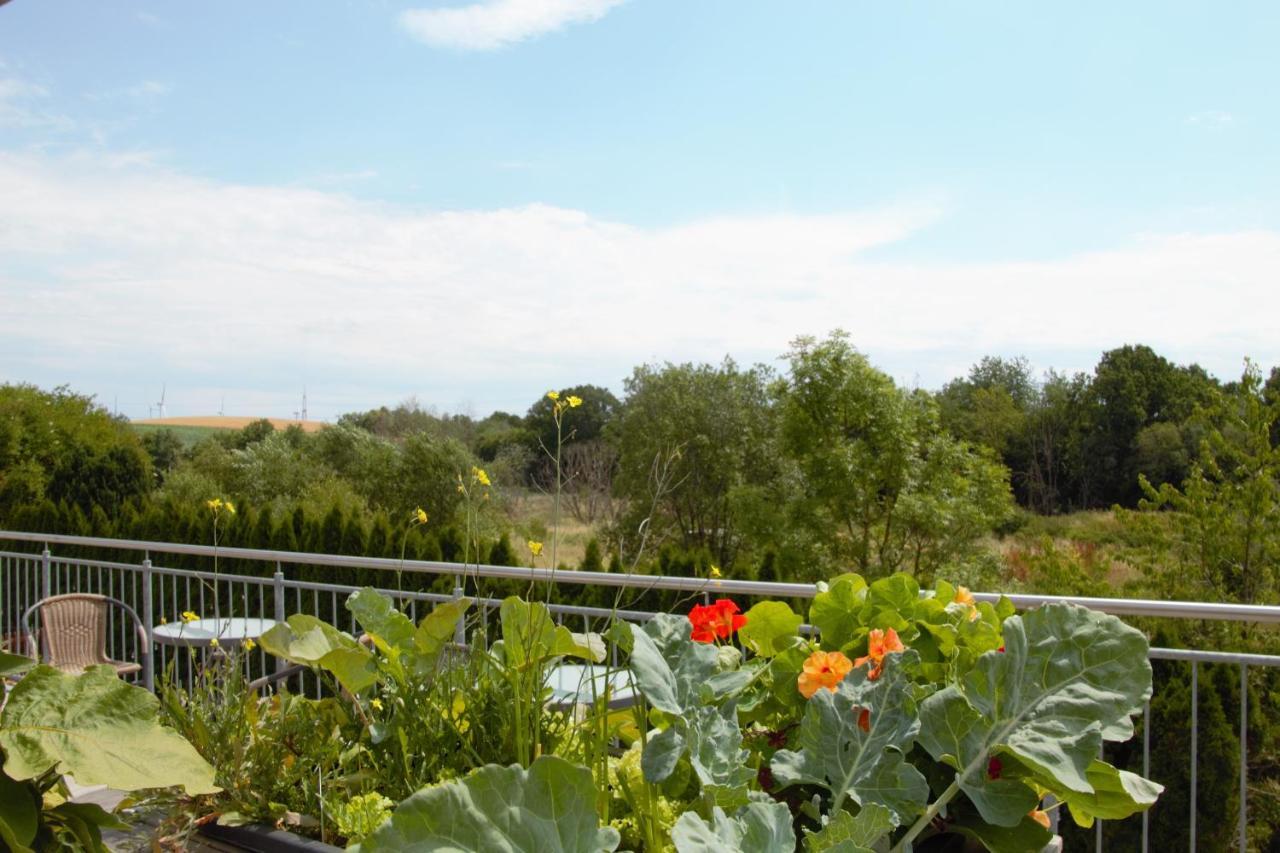 Zum Suessen Stollen Apartment Reinsfeld Екстериор снимка